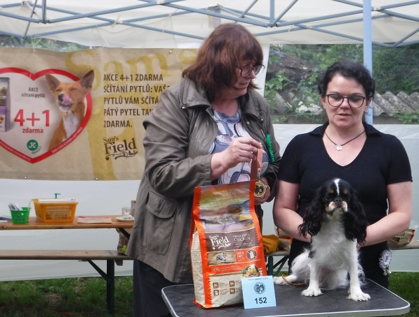 KV 2020-I, 11.7.2020, Městec Králové